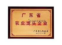 2001-2021V|ʡ^I