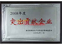 2008ͻؕII