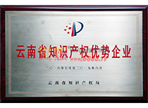 云南省知識產權優勢企業
