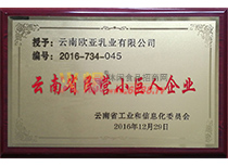 云南省民營小巨人企業