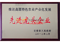 先進龍頭企業