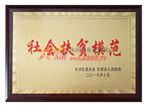 社會扶貧模范