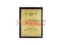 十佳創(chuàng)意營銷獎(jiǎng)