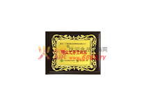 行業(yè)優(yōu)秀貢獻(xiàn)獎(jiǎng)