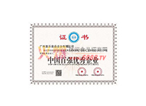 中國百強優秀企業
