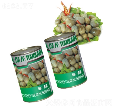 天保龍草菇罐頭