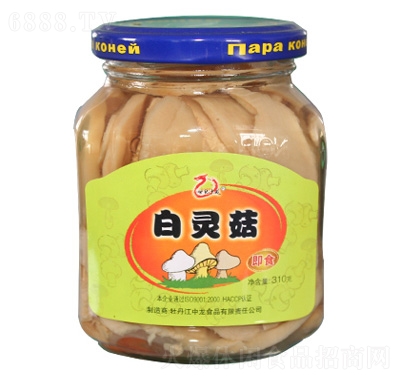 世紀(jì)中龍白靈菇罐頭310g