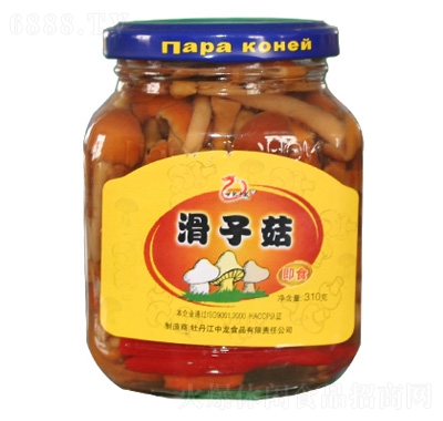 世紀(jì)中龍滑子菇罐頭310g