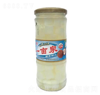 一畝泉椰果罐頭700g