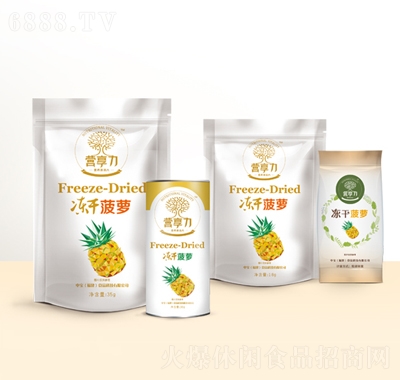 中寶凍干菠蘿