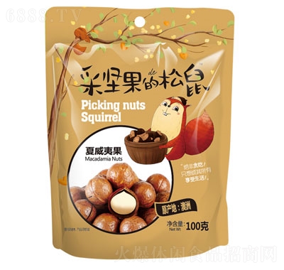 采堅果的松鼠夏威夷果堅果炒貨零食100g