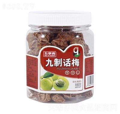 五季青蜜餞水果干果脯零食休閑食品九制話梅