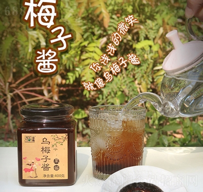 佳梅烏梅子醬400g果干蜜餞休閑零食