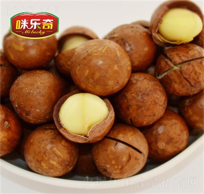 百晨夏威夷果干果網紅零食休閑食品招商零食100g
