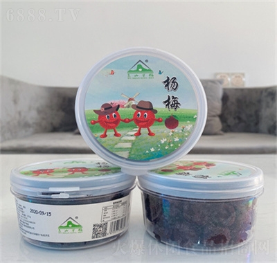 金三源冰糖楊梅廠家直供楊梅干零食蜜餞休閑食品