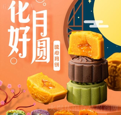 ӻʽSĨɿ﹝ʳ